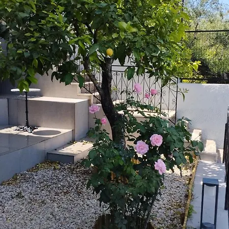 Διαμέρισμα Urania - Kitries *