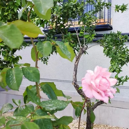 Lejlighed Urania - Kitries