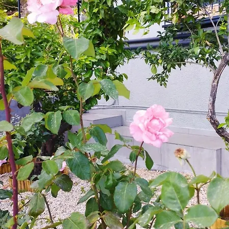 Urania - Kitries * Kitriaí