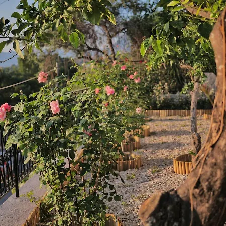 Lejlighed Urania - Kitries *