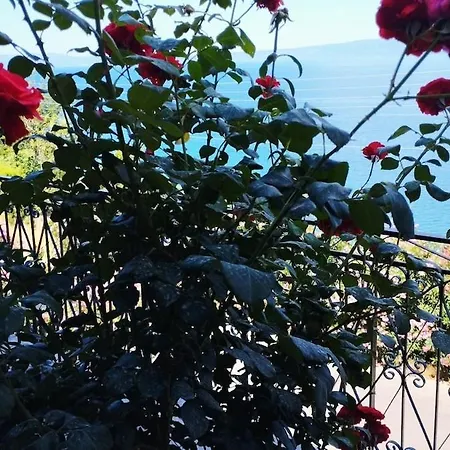 Urania - Kitries Lejlighed Kitriaí