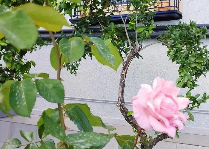 Apartmán Urania - Kitries