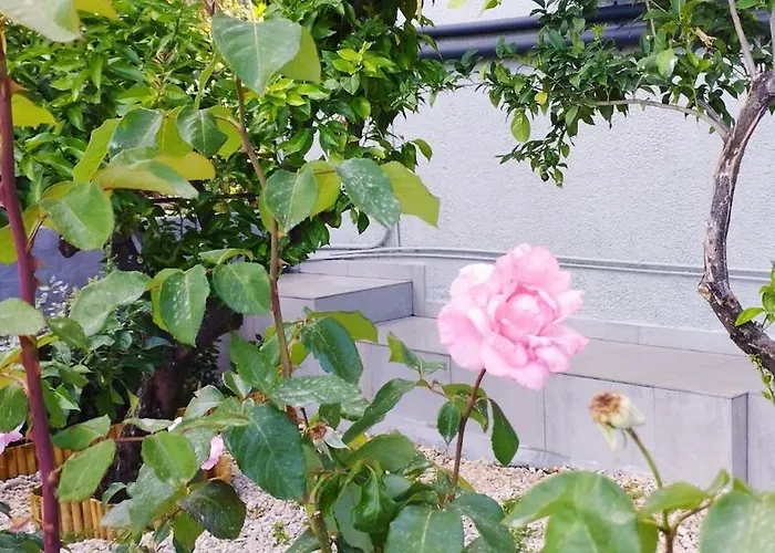 Urania - Kitries * Kitriaí